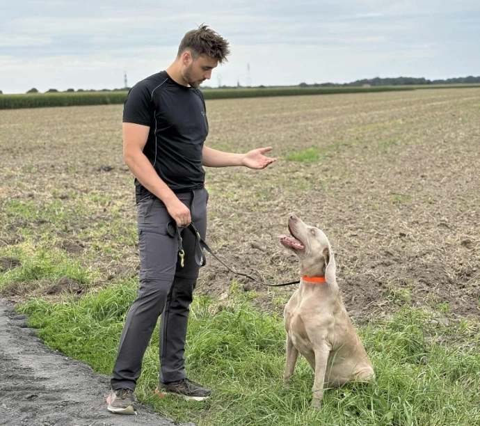 Séance d’éducation canine en extérieur avec éducateur comportementaliste canin dans les Hauts-de-France